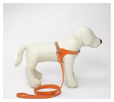 Комплект амуниции из экокожи, оранжевый