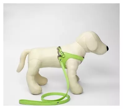 Комплект амуниции из экокожи, салатовый