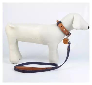 Комплект амуниции: ошейник и поводок, цвет бежевый и синий