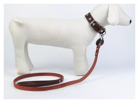 Комплект амуниции: ошейник и поводок, цвет коричневый и коньячный