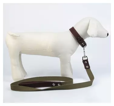 Комплект амуниции: ошейник кожаный и поводок брезентовый, цвет коричневый