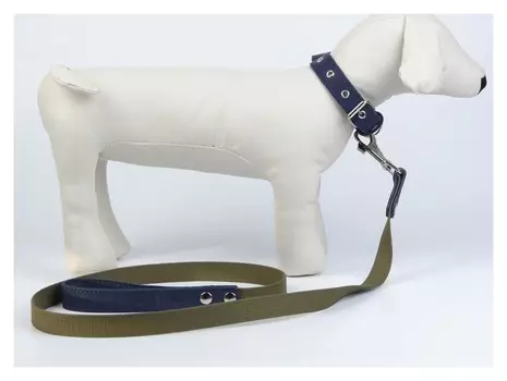 Комплект амуниции: ошейник кожаный и поводок брезентовый, цвет синий