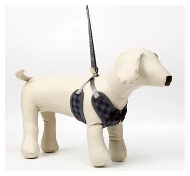 Комплект амуниции с мягкой шлейкой, поводок 120 х 1,5 см, ОШ 38-52, ОГ 42-60, серый