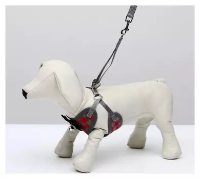 Комплект амуниции с мягкой шлейкой, размер M (ОШ 28-48, ОГ 32-52 см, поводок 120х1 см)