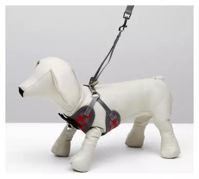 Комплект амуниции с мягкой шлейкой, размер XL