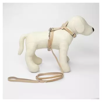 Комплект амуниции «Собака», бежевый