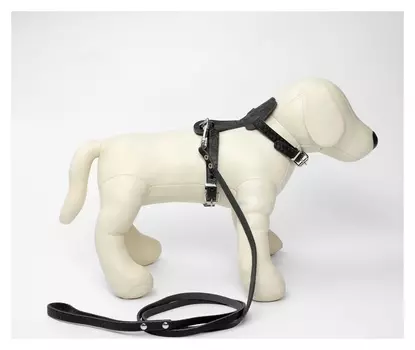 Комплект амуниции «Собака», чёрный