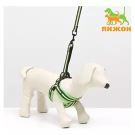 Комплект амуниции светоотражающий с мягкой шлейкой и мягкой ручкой, 1,5 х 120 см, ОШ 35-53, жёлтый