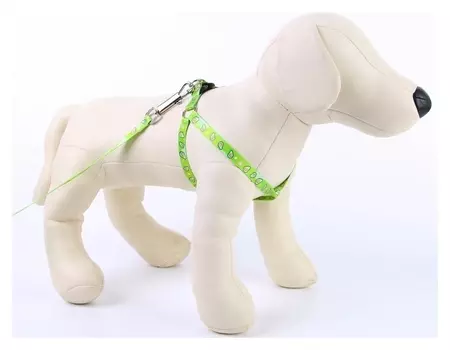 Комплект «Авокадо»: шлейка+поводок