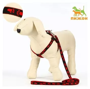 Комплект "Большая лапа", ширина 1,5 см, поводок 120 см, шлейка 28-42 см, красно-чёрный