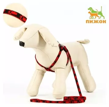 Комплект "Большая лапа", ширина 1 см, поводок 120 см, шлейка 25-36 см, красно-чёрный