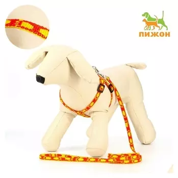 Комплект "Большая лапа", ширина 1 см, поводок 120 см, шлейка 25-36 см, оранжево-жёлтый