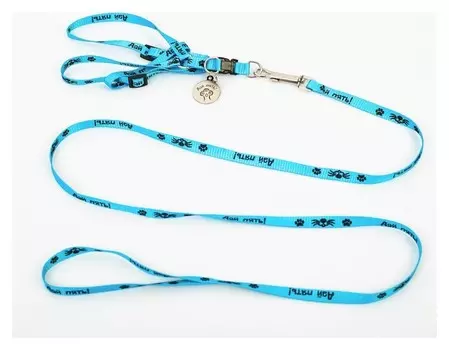 Комплект «Дай пять!»: шлейка 28-47 см, поводок 120 см, адресник, макс вес 10 кг