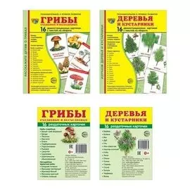 Комплект Демонстрационные картинки Деревья, грибы