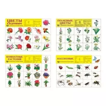 Комплект демонстрационных плакатов А2 Мир цветов и насекомых : 4 плаката 2, 80 картинок
