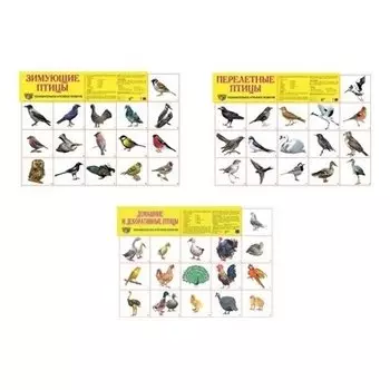 Комплект демонстрационных плакатов А2 Мир птиц : 3 плаката а2,80 картинок птиц
