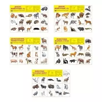 Комплект демонстрационных плакатов А2 животный мир: 5 плакатов А2, 80 картинок животных