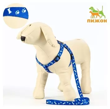 Комплект капроновый "Косточки и лапки", 1,5 см, шлейка 30-44 см, поводок 120 см, синий