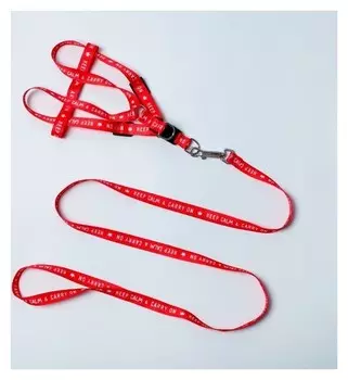 Комплект "Keep Calm &amp; Carry On" капрон 1,5 см 1-слойный, шлейка 36-49см, поводок 120см