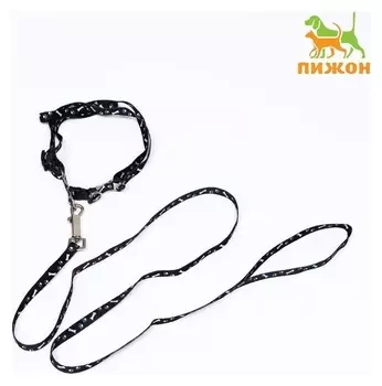 Комплект "Классика", капрон, ширина 1 см, шлейка 28-47 см, поводок 120 см, чёрный