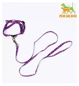 Комплект "Классика", капрон, ширина 1 см, шлейка 28-47 см, поводок 120 см, фиолетовый