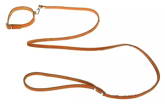 Комплект кожаный ошейник 35 х 1,2 см и поводок 135 х 0,8 см, рыжий