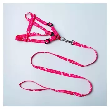 Комплект "Куда ты, туда я" капрон 1,5 см 1-слойный, шлейка 36-49см, поводок 120см