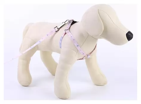 Комплект «Ласточки»: шлейка+поводок