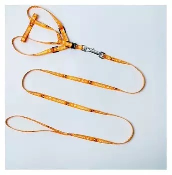 Комплект "Любимчик" капрон 1 см 1-слойный, шлейка 24-34см, поводок 120см