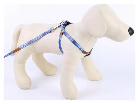 Комплект «Любимчик»: шлейка+поводок