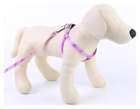 Комплект «Маленькая леди»: шлейка+поводок