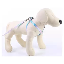 Комплект «Моя радость»: шлейка+поводок