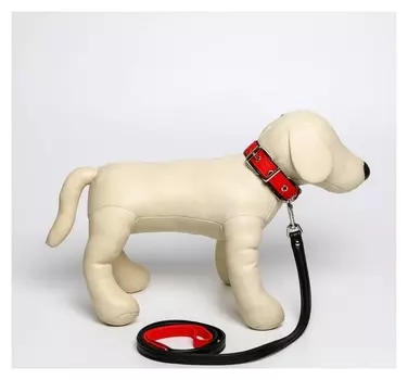 Комплект ошейник и поводок из экокожи, красный с чёрным