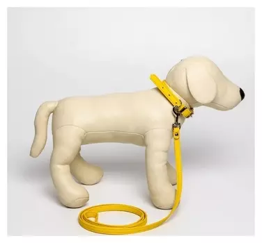 Комплект ошейник и поводок из экокожи, жёлтый