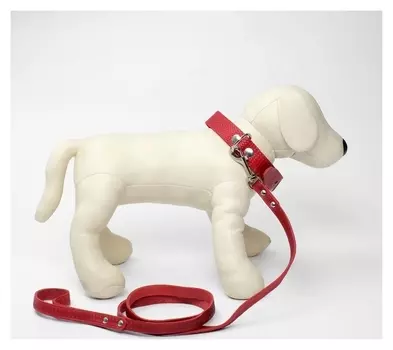 Комплект ошейник и поводок рептилия, красный