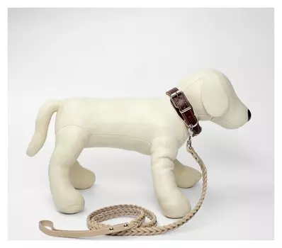 Комплект ошейник и поводок с косой, бежевый