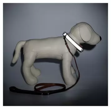 Комплект ошейник светоотражающий и поводок, коричневый