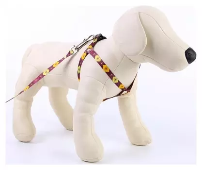 Комплект «Пчёлы»: шлейка+поводок