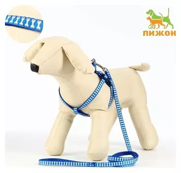 Комплект прошитый "Косточки", ширина 1 см, поводок 120 см, шлейка 23-35 см, синий