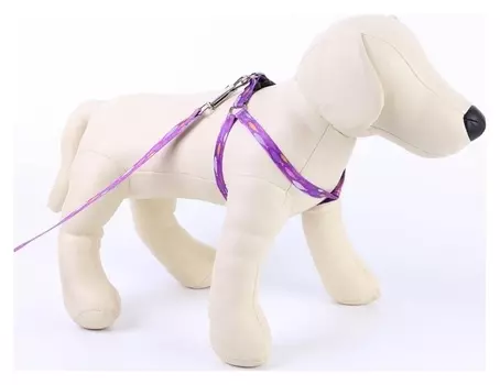 Комплект «Рыбки»: шлейка+поводок