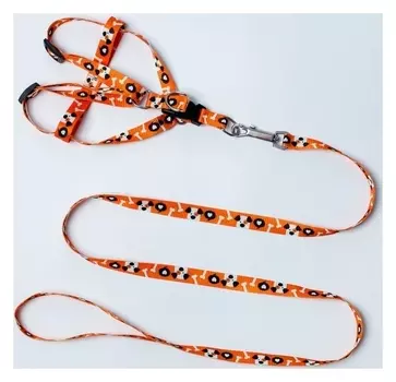 Комплект "Собака" капрон 1,5 см 1-слойный, шлейка 36-49см, поводок 120см