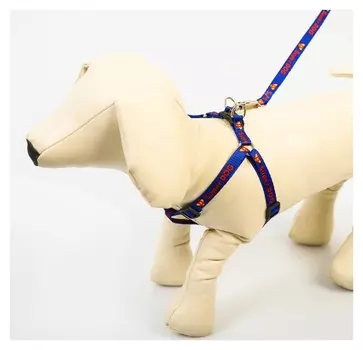 Комплект Super Dog: шлейка 28-47 см, поводок 120 см, макс вес 10 кг