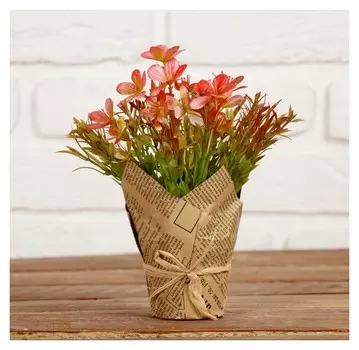 Композиция "Чистотел цветущий" 7х18 см