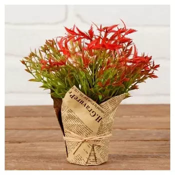 Композиция "Остролист" 7*17 см