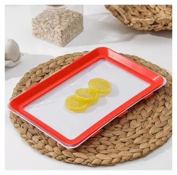 Контейнер для хранения продуктов, 20×30×2 см