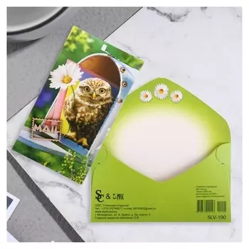 Конверт для денег "Поздравительный" глитер, сова, 19х9 см