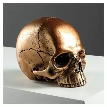 Копилка "Череп", глянец, золотистый цвет, 16 см