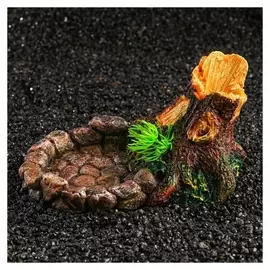 Кормушка для террариума, 17,5 х 11,5 х 8,5 см