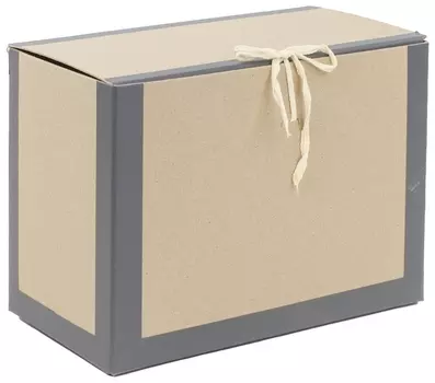 Короб архивный 180х240х330 мм, переплетный картон/бумвинил, завязки, до 1700 л., Staff, 112160