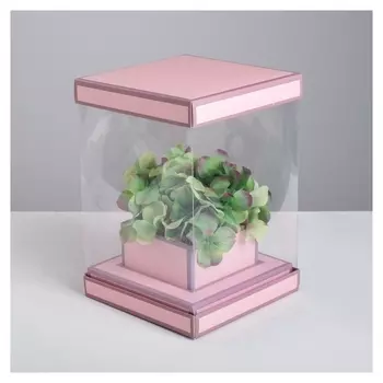 Коробка для цветов с вазой и PVC окнами складная «Вдохновение», 16 х 23 х 16 см